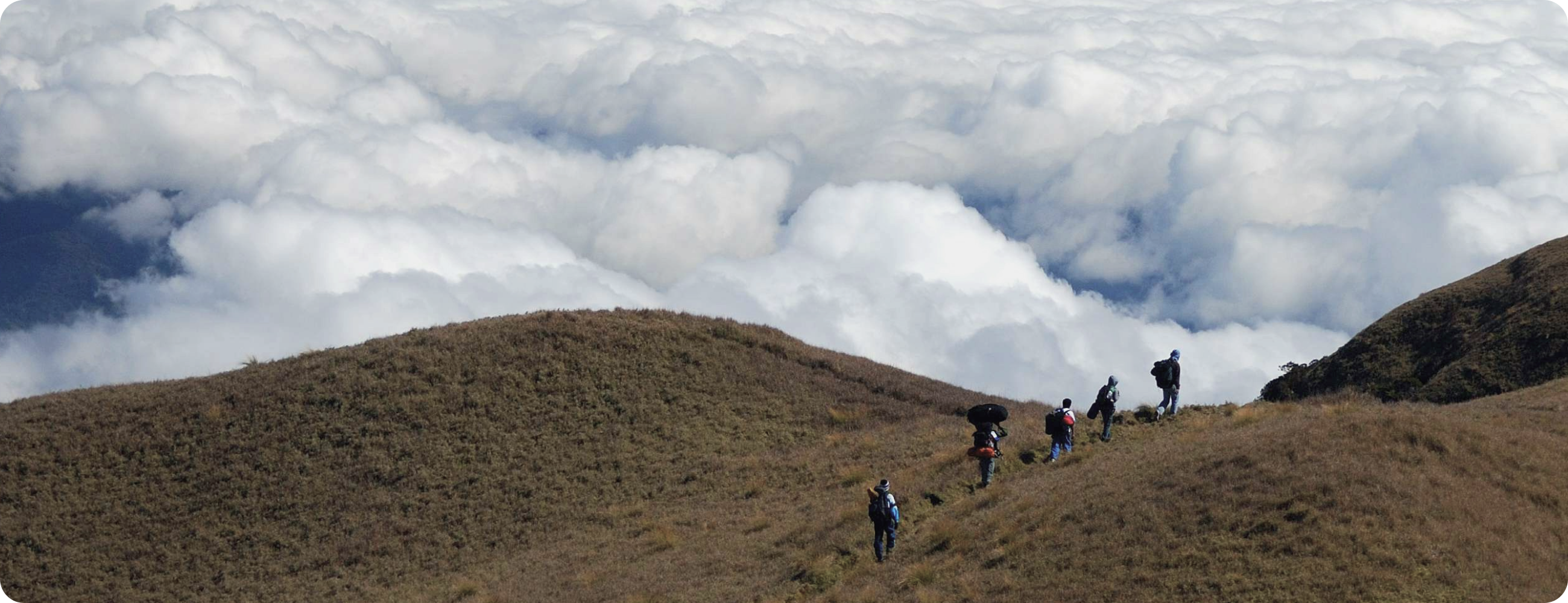 山頂に近い稜線をハイキングする一群の登山者たちが、雲海の上を歩いている